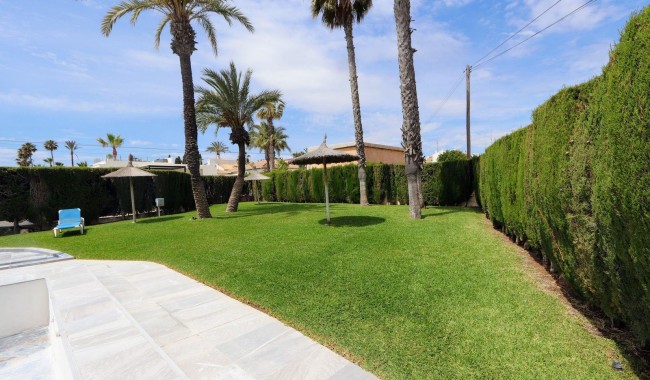 Begagnad - Lägenhet - Torrevieja - Playa Flamenca