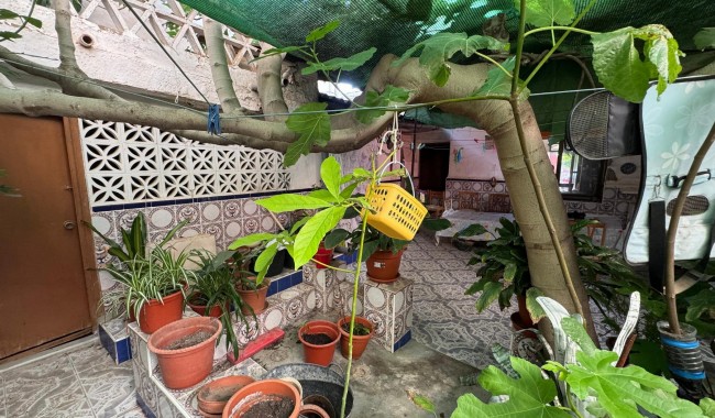 Begagnad - Villa - Benejúzar