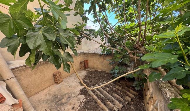 Begagnad - Villa - Benejúzar