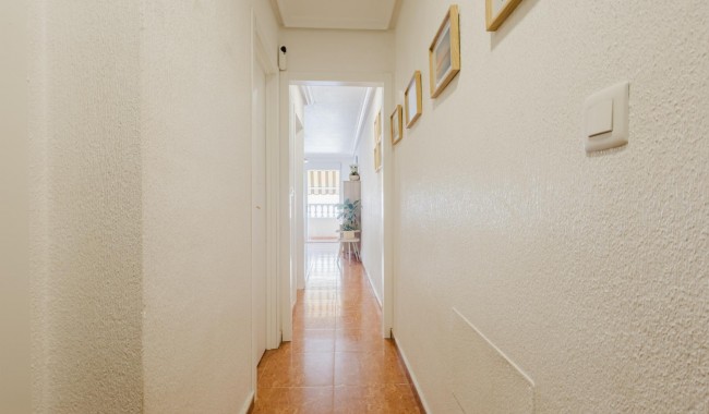 Brukt - Leilighet - Torrevieja - Centro