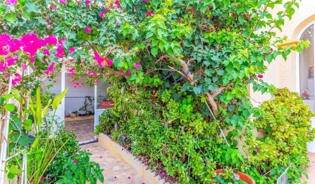 Begagnad - Villa - Orihuela - La Zenia