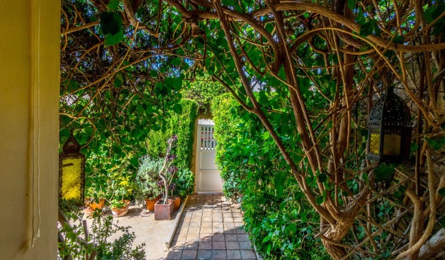 Segunda mano - Apartamento - Torrevieja - Aguas Nuevas