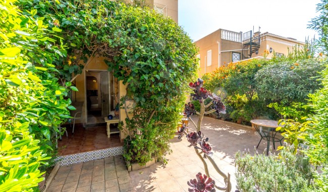 Segunda mano - Apartamento - Torrevieja - Aguas Nuevas