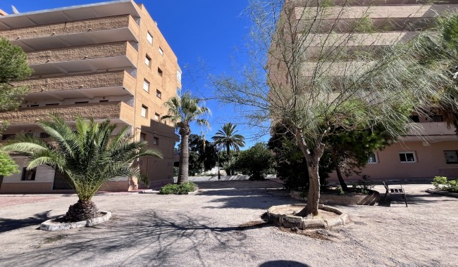 Begagnad - Lägenhet - Torrevieja - La Mata