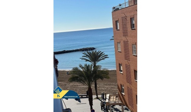 Begagnad - Lägenhet - Torrevieja - Playa del cura
