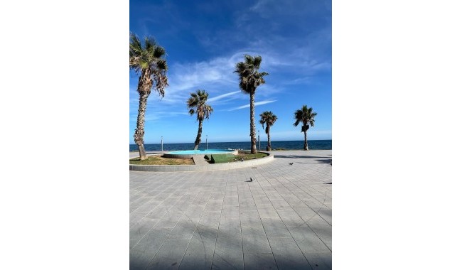 Begagnad - Lägenhet - Torrevieja - Playa del cura