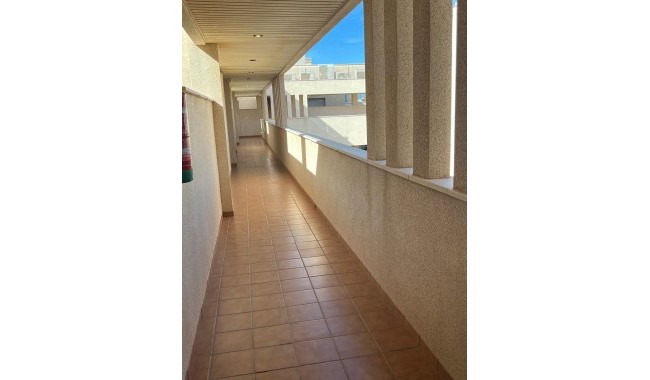 Begagnad - Lägenhet - Torrevieja - Playa del cura