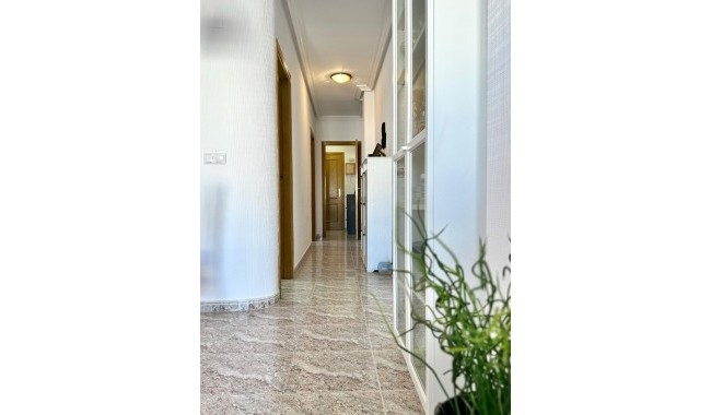 Segunda mano - Apartamento - Torrevieja - Playa del cura