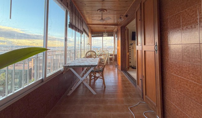 Segunda mano - Apartamento - Torrevieja - Acequion