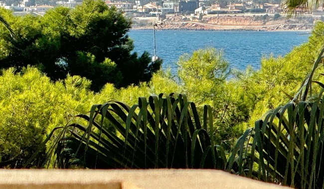 Segunda mano - Apartamento - Orihuela - Punta Prima