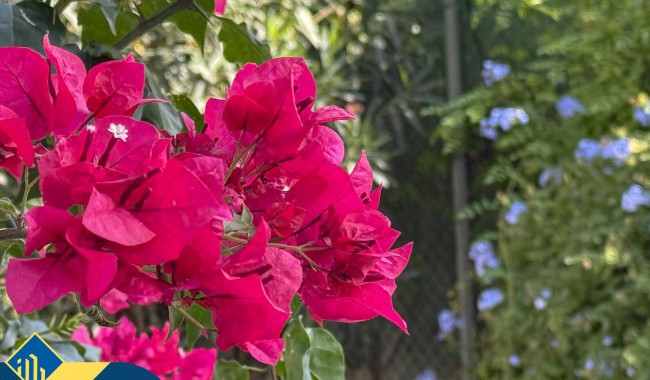 Sprzedaż - Willa - Orihuela - Desamparados-Hurchillo-Torremendo