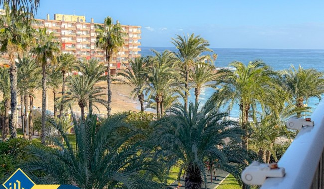 Brukt - Leilighet - Torrevieja - Playa de los locos