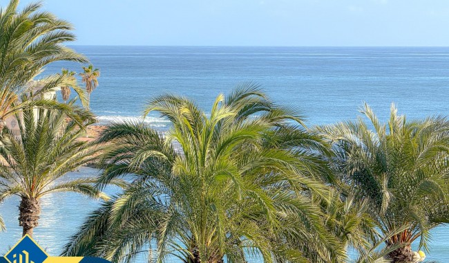 Brukt - Leilighet - Torrevieja - Playa de los locos