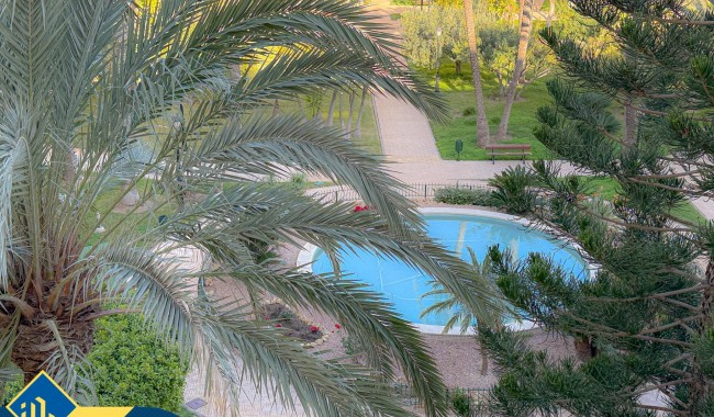 Brukt - Leilighet - Torrevieja - Playa de los locos