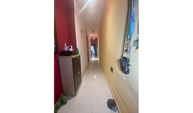 Begagnad - Lägenhet - Torrevieja - Playa de los locos