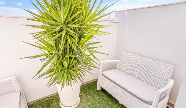 Segunda mano - Villa - Orihuela - PAU 26