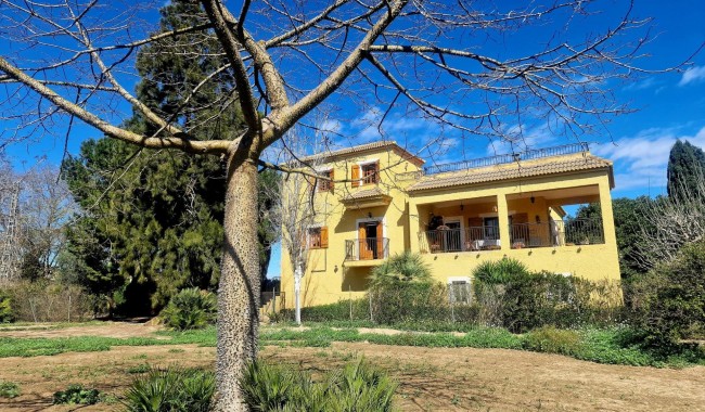 Kamienica - Sprzedaż - Daya Nueva - Daya Nueva