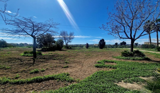 Resale - Townhouse - Daya Nueva