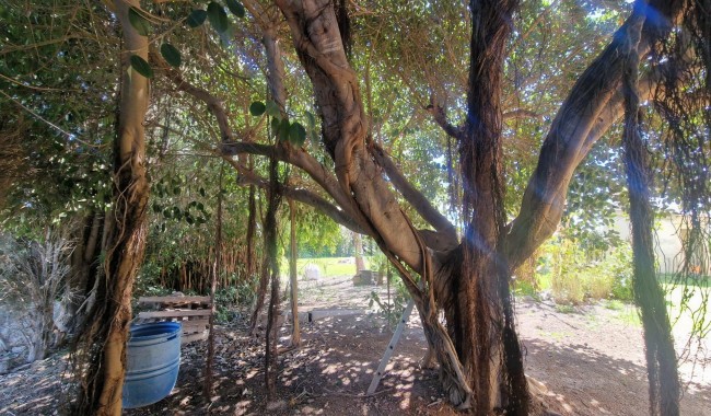 Resale - Townhouse - Daya Nueva