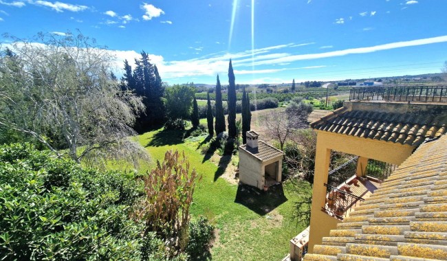 Resale - Townhouse - Daya Nueva