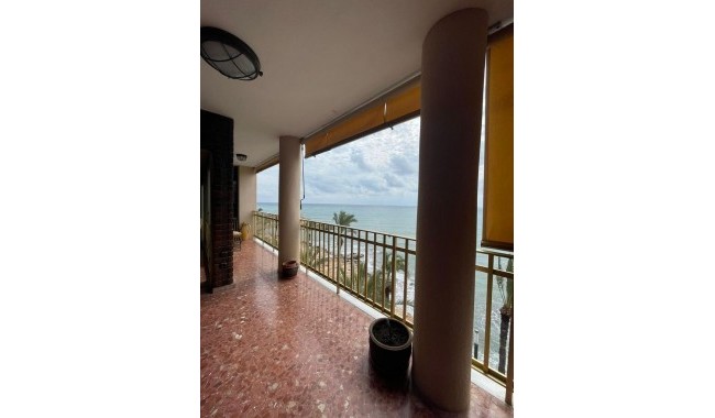Segunda mano - Apartamento - Torrevieja - Paseo maritimo