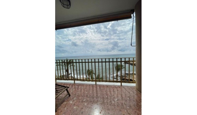 Segunda mano - Apartamento - Torrevieja - Paseo maritimo
