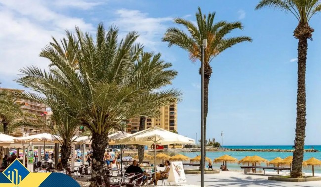 Segunda mano - Apartamento - Torrevieja - Parque de Las Naciones