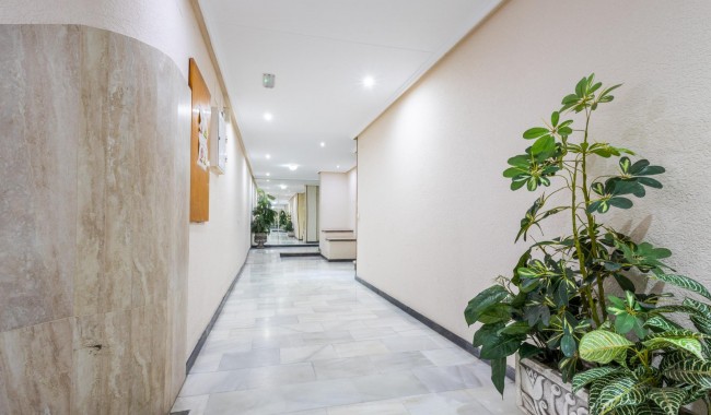 Begagnad - Lägenhet - Torrevieja - Acequion