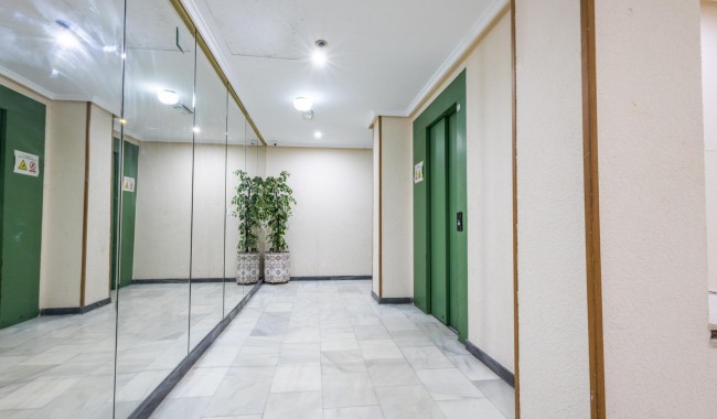 Begagnad - Lägenhet - Torrevieja - Acequion