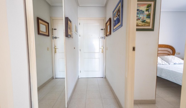 Begagnad - Lägenhet - Torrevieja - Acequion