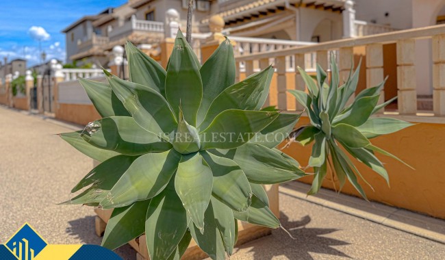 Segunda mano - Villa - Orihuela - Cabo Roig