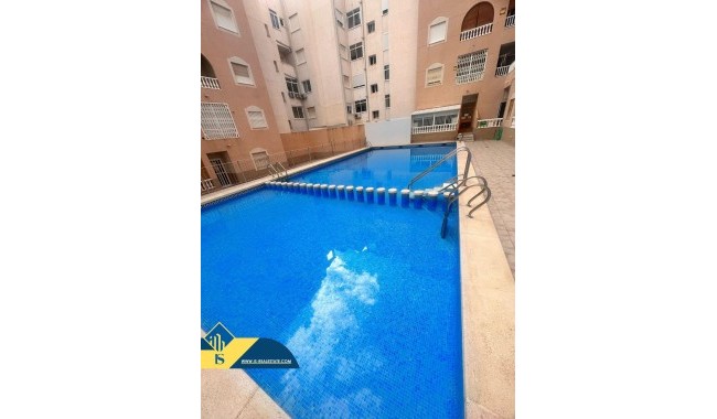 Begagnad - Lägenhet - Torrevieja - Estacion de autobuses