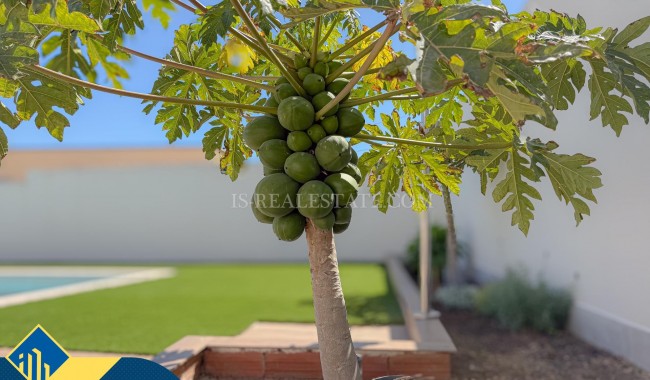 Begagnad - Villa - Torrevieja - Los Balcones