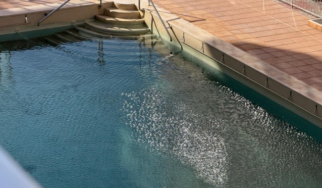 Begagnad - Lägenhet - Torrevieja - Acequion