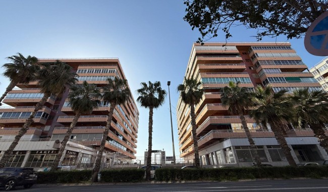 Begagnad - Lägenhet - Torrevieja - Acequion