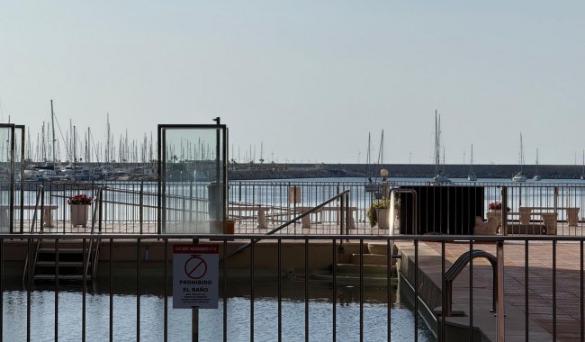 Begagnad - Lägenhet - Torrevieja - Acequion