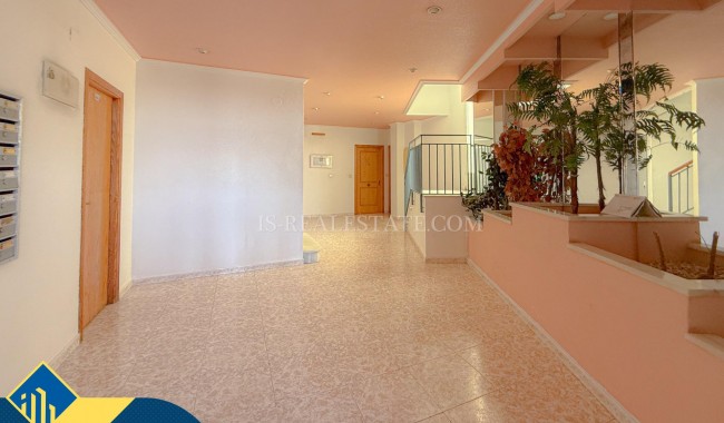 Segunda mano - Apartamento - Torrevieja - Acequion