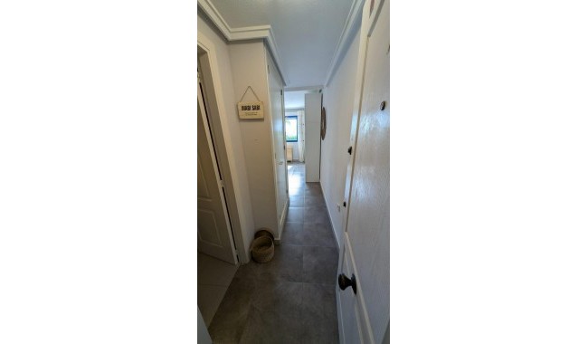 Begagnad - Studio - Torrevieja - Torreblanca