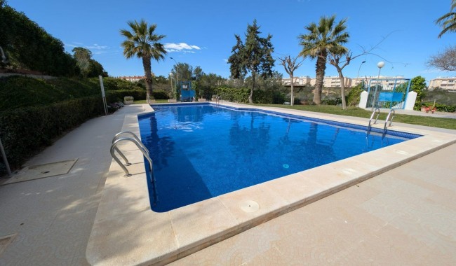 Begagnad - Studio - Torrevieja - Torreblanca