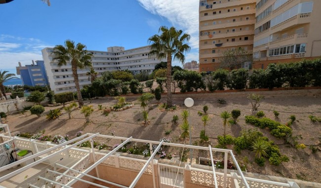 Begagnad - Studio - Torrevieja - Torreblanca