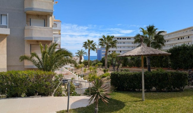 Begagnad - Studio - Torrevieja - Torreblanca