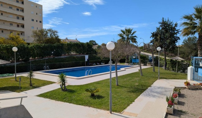 Begagnad - Studio - Torrevieja - Torreblanca