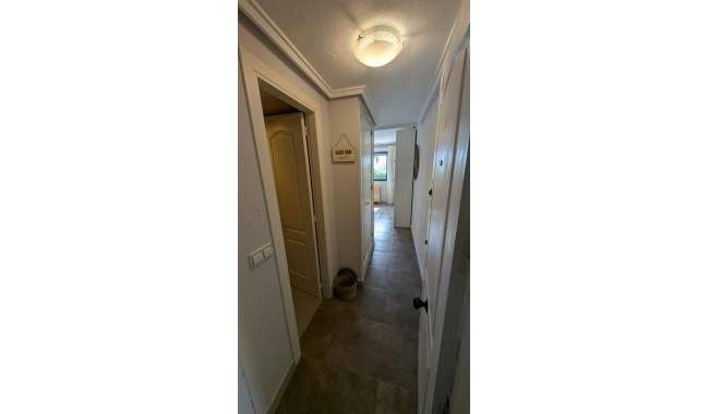 Begagnad - Studio - Torrevieja - Torreblanca