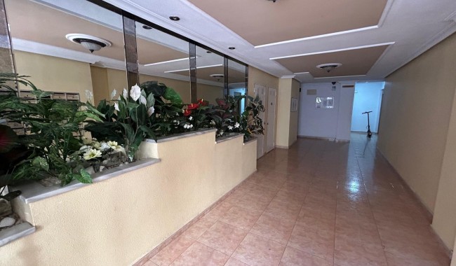 Brukt - Leilighet - Torrevieja