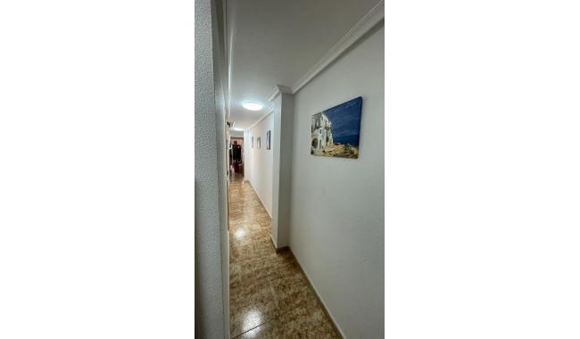 Brukt - Leilighet - Torrevieja - Playa de los locos