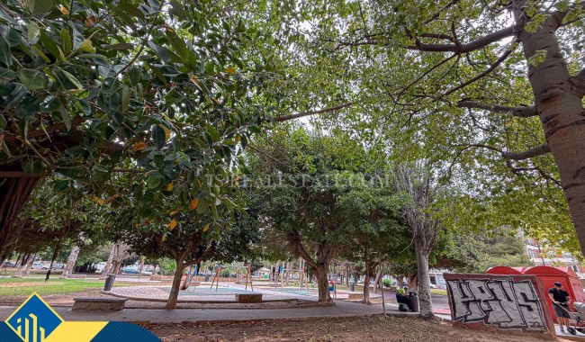 Segunda mano - Apartamento - Torrevieja - Acequion