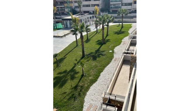Begagnad - Lägenhet - Orihuela - Playa Flamenca