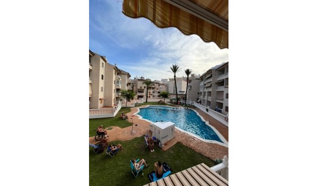 Lägenhet - Begagnad - Torrevieja - Playa de los locos