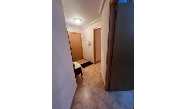 Begagnad - Lägenhet - Torrevieja - Estacion de autobuses