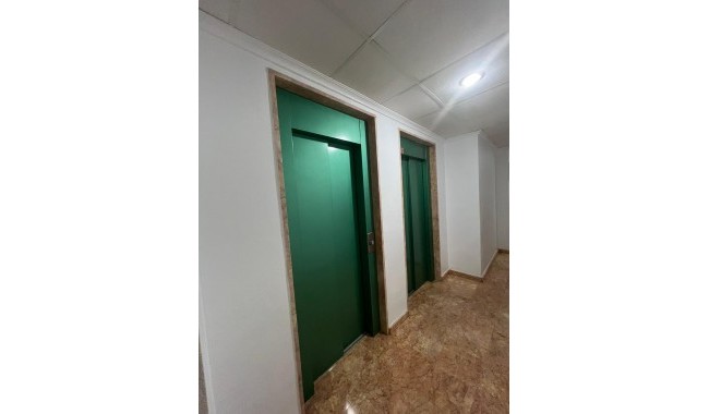 Begagnad - Lägenhet - Torrevieja - Estacion de autobuses